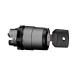 SE ГОЛОВКА ПЕРЕКЛЮЧ., С КЛЮЧЕМ, 2 ПОЛ.,ФИКС