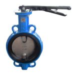 Затвор чугунный с чугунным диском и уплотнением EPDM DN 150 PN 16 ручной, Seagull