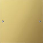 Gira KNX Латунь Комплект клавиш, 1 шт. Gira KNX Латунь Комплект клавиш, 1 шт.