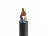 Кабель КВВГЭнг(А)-LS 10х2.5 (м) Кабэкс ТХМ00069616 Кабель КВВГЭнг(А)-LS 10х2.5 (м) Кабэкс ТХМ00069616
