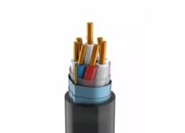 Кабель КВВГЭнг(А)-LS 7х2.5 (м) Кабэкс ТХМ00069615 Кабель КВВГЭнг(А)-LS 7х2.5 (м) Кабэкс ТХМ00069615