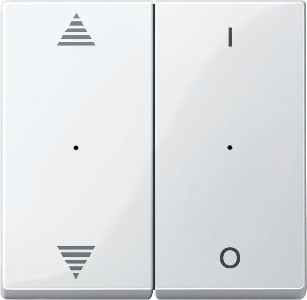 SE Merten KNX\EIB SM Полярно-бел Клавиша для модуля 2-кнопочного выключателя, с символами ВВ/ВН, 1/0 (MTN619619)