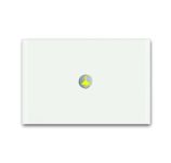 ABB KNX Busch-priOn Белое глянцевое стекло Сенсор 1-кл ABB KNX Busch-priOn Белое глянцевое стекло Сенсор 1-кл
