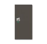 ABB Basic 55 Шато (чёрн) Клавиша двойная правая free@home, сцена ABB Basic 55 Шато (чёрн) Клавиша двойная правая free@home, сцена