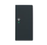 ABB Future SRL-2-R-81 Клавиша двойная правая free@home, освещение, антрацит ABB Future SRL-2-R-81 Клавиша двойная правая free@home, освещение, антрацит