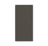 ABB Basic 55 Шато (чёрн) Клавиша двойная free@home ABB Basic 55 Шато (чёрн) Клавиша двойная free@home