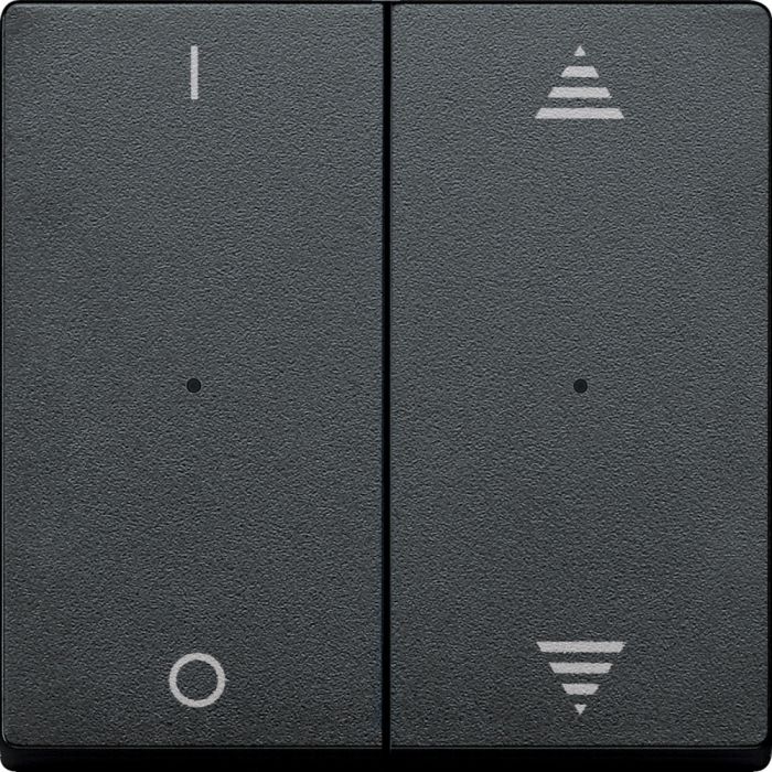 SE Merten KNX\EIB SM Антраицит Клавиша для модуля 2-кнопочного выключателя с символами ВВ/ВН, 1/0 (MTN625614)