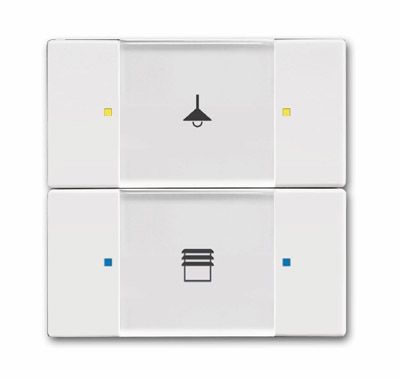 ABB KNX Альпийский белый Сенсор 2/4-кл. многофункциональный