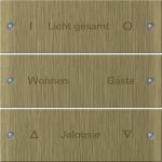 Gira Instabus Бронза Набор клавиш 3-местн.(гравировка) Gira Instabus Бронза Набор клавиш 3-местн.(гравировка)